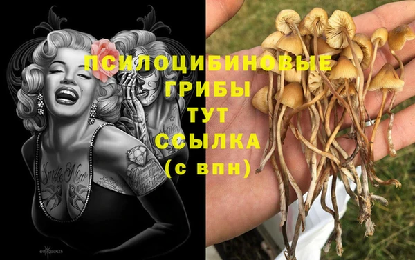 мескалин Кукмор