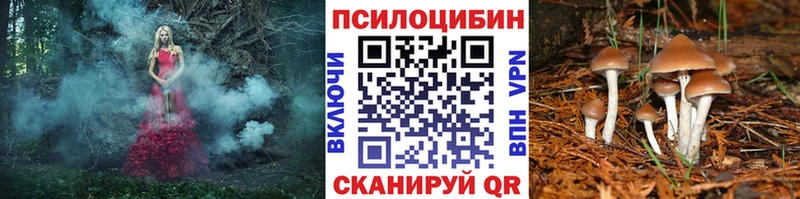 Купить где  Балашов  Псилоцибиновые грибы прущие грибы 