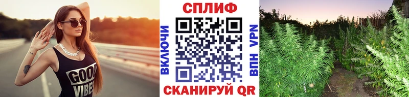 Купить закладки  Балашов  Конопля Amnesia 
